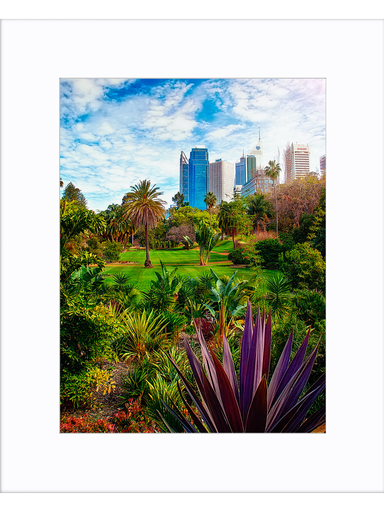 Matted Print / 16" x 16" / 40.6cm x 40.6cm
